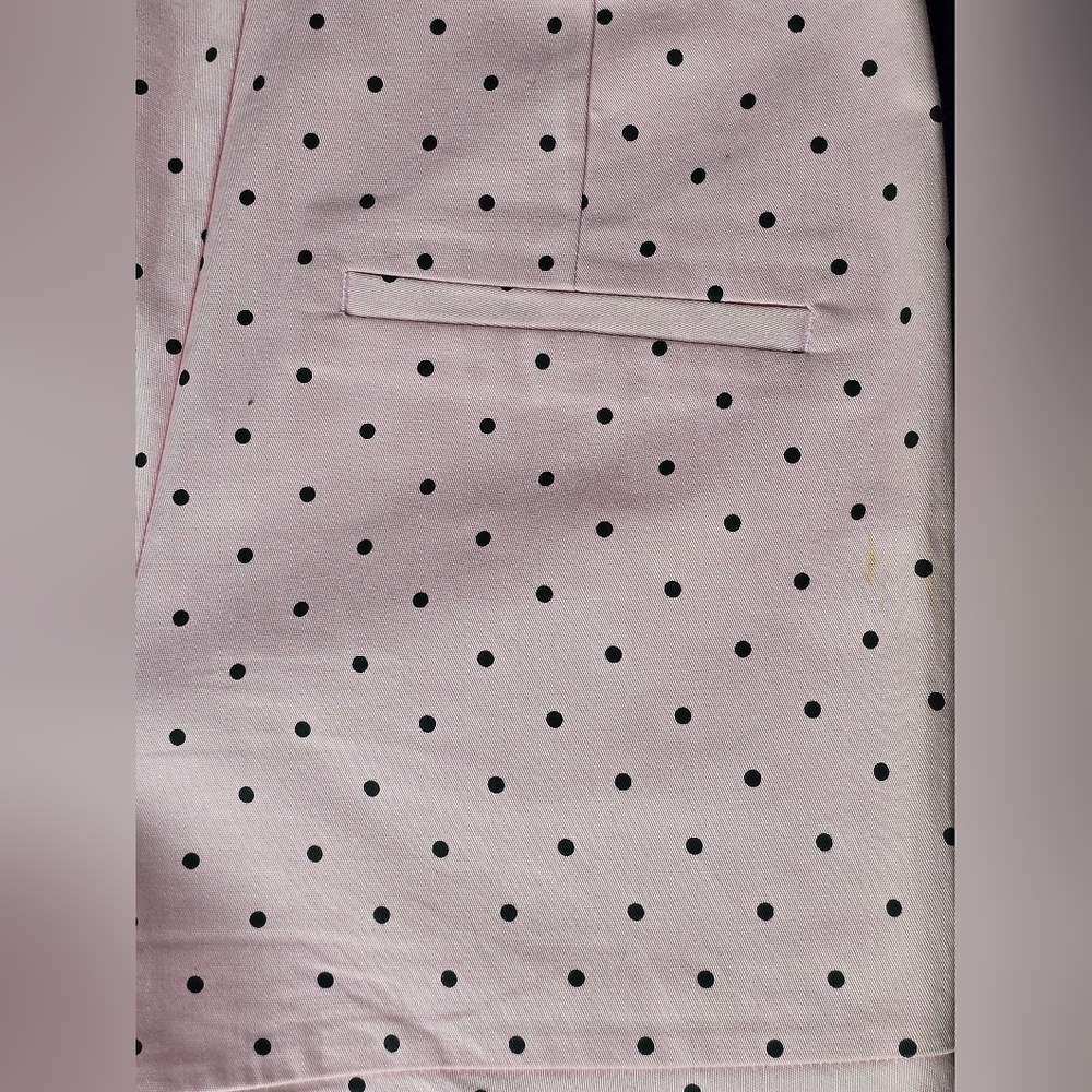 Zara Baby Pink Polka Dot Ruffle Hem Women's Shorts Size XS - Picture 5 of 14